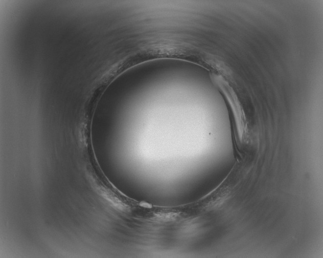 X0000070870450200606191346