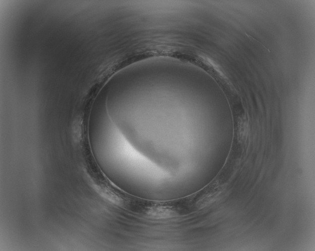 X0000070870451200606191346
