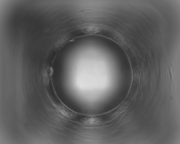 X0000070870460200606191347