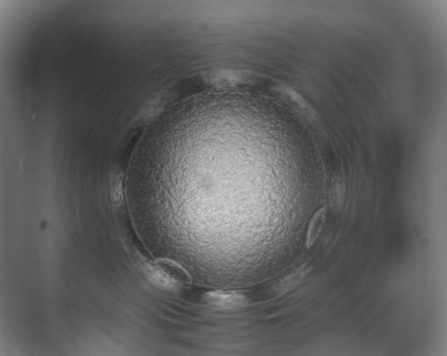 X0000070870477200606191347