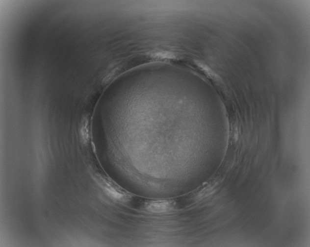 X0000070870479200606191347