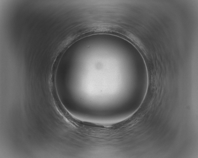 X0000070870485200606191346