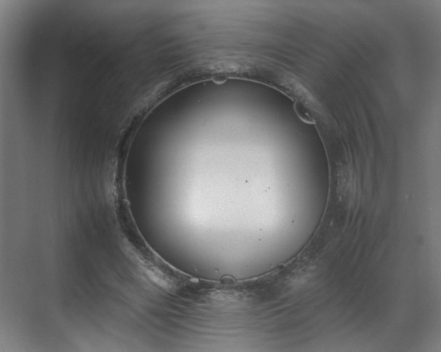 X0000070870490200606191346