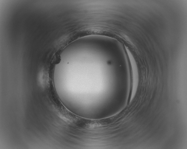 X0000070870500200606191346