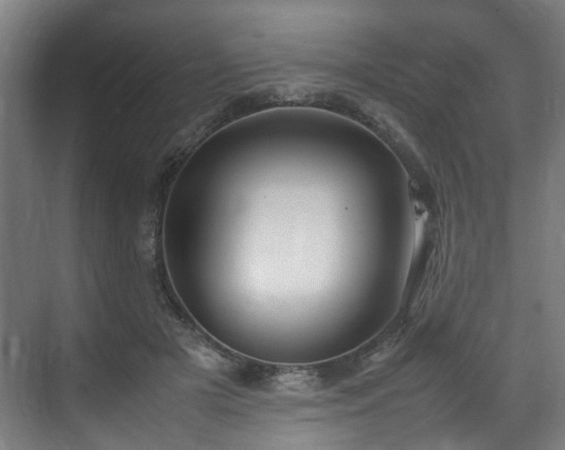 X0000070870505200606191346