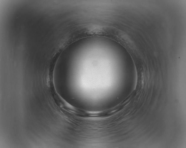 X0000070870508200606191346
