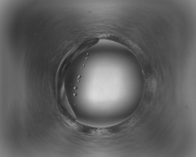 X0000070870517200606191346