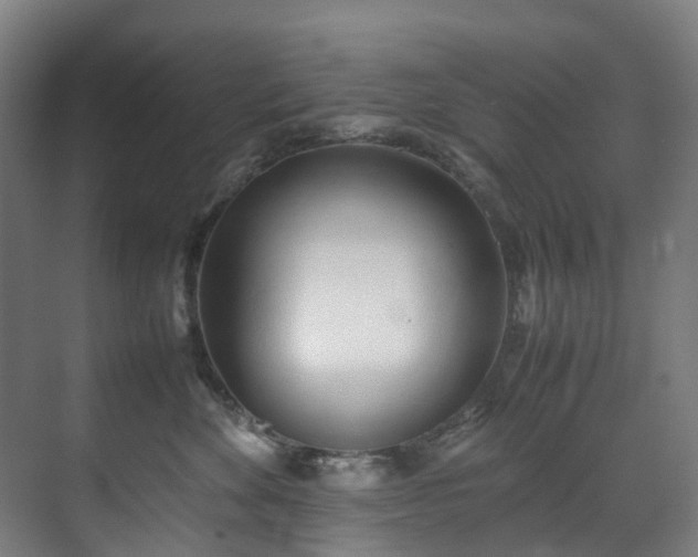 X0000070870524200606191345