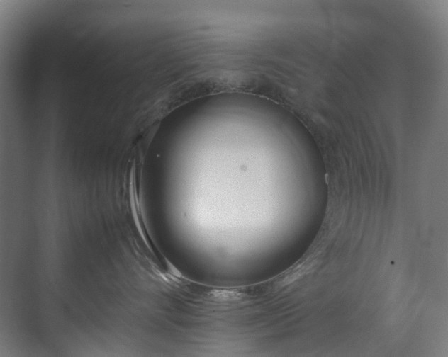 X0000070870528200606191345