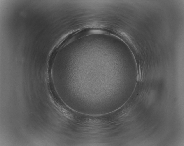 X0000070870531200606191345