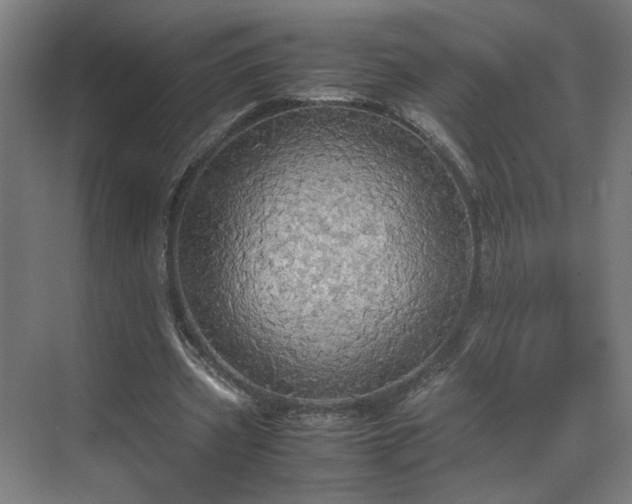 X0000070870533200606191345