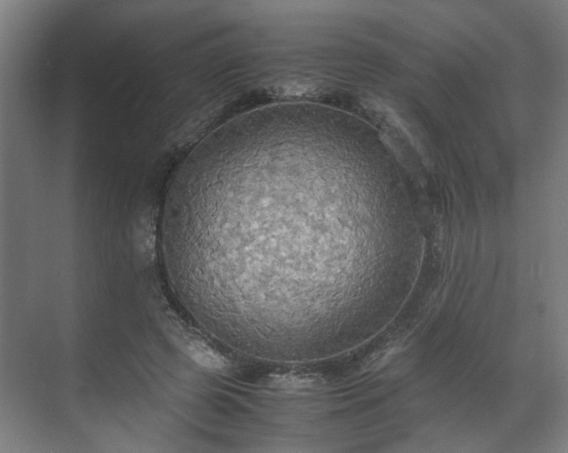 X0000070870545200606191345