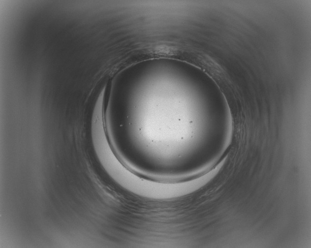 X0000070870552200606191345