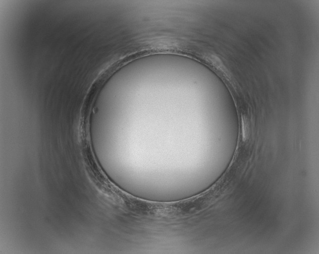 X0000070870579200606191344