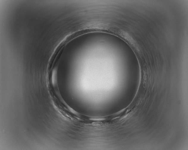 X0000070870580200606191344