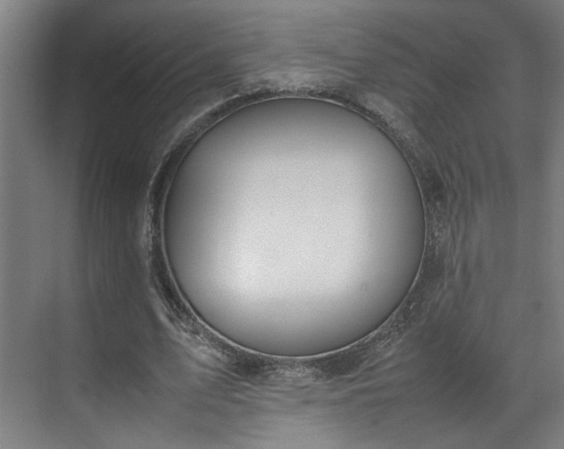X0000070870583200606191344