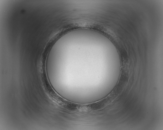 X0000070870587200606191344