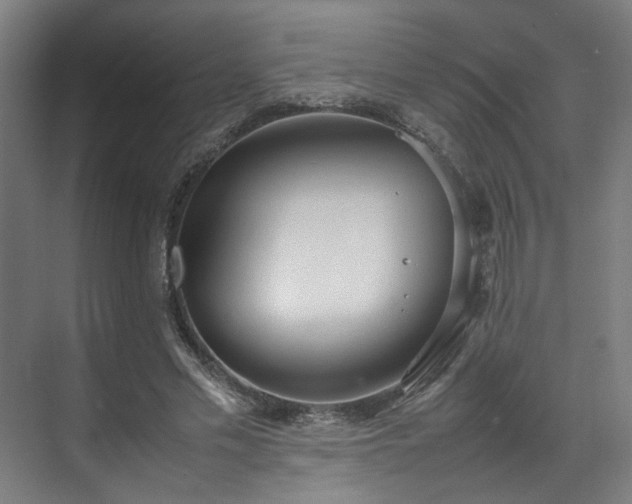 X0000070870589200606191344
