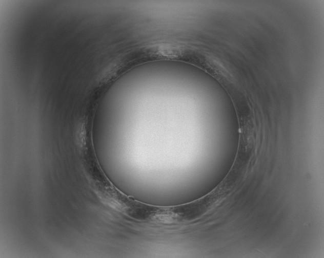 X0000070870595200606191344