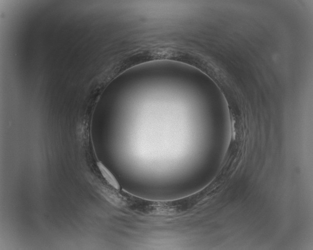 X0000070870601200606191344