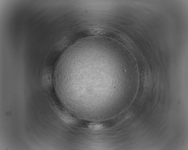X0000070870602200606191344