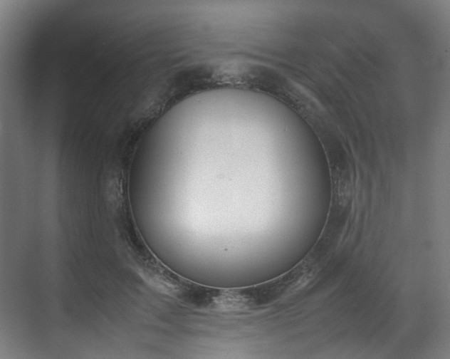X0000070870603200606191344