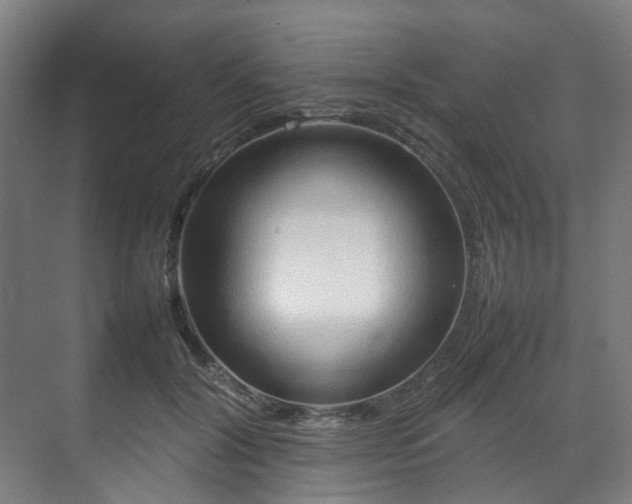 X0000070870604200606191344
