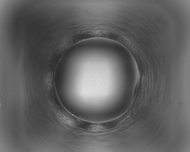 X0000070870605200606191344