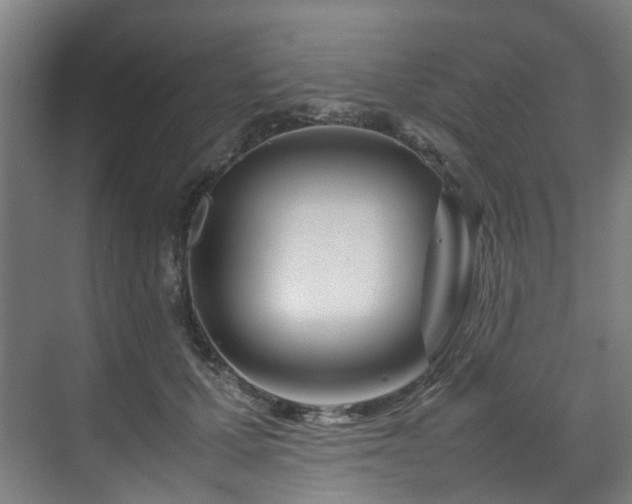 X0000070870607200606191344