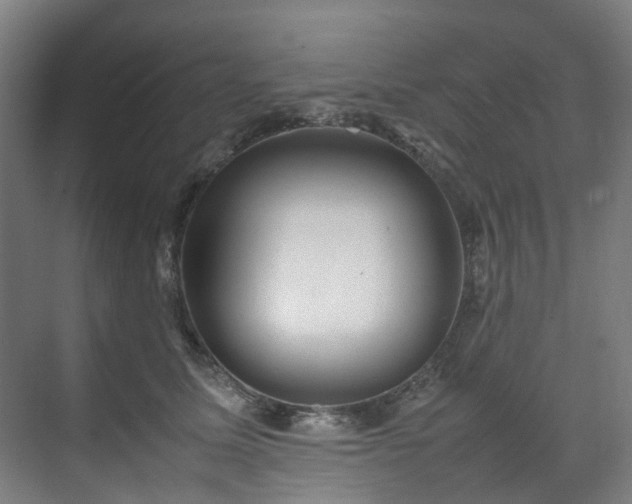 X0000070870611200606191344