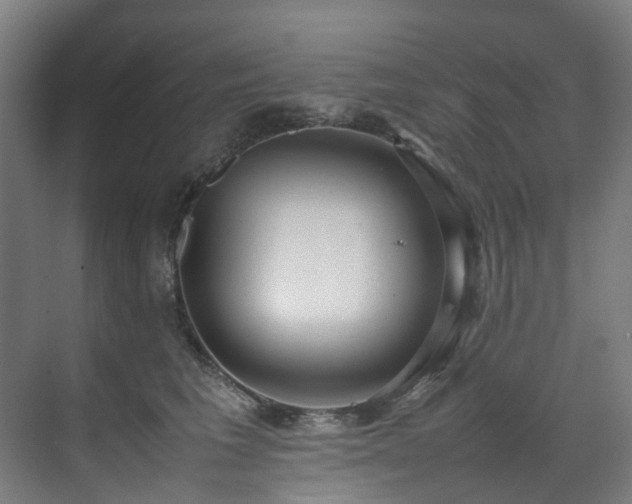 X0000070870613200606191344