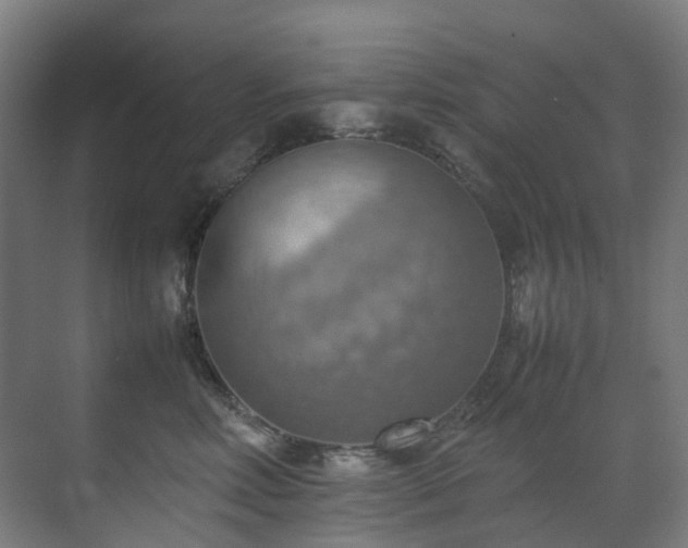 X0000070870618200606191344