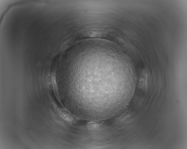X0000070870620200606191344