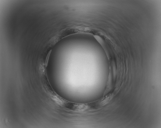 X0000070870621200606191344