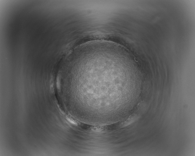 X0000070870624200606191344