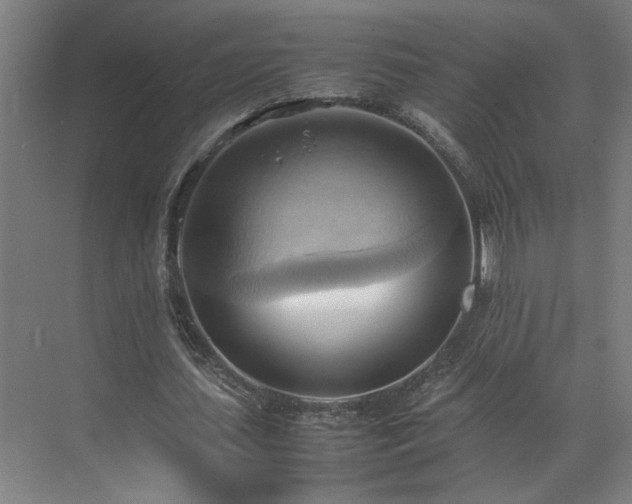 X0000070870627200606191343