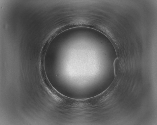 X0000070870629200606191343