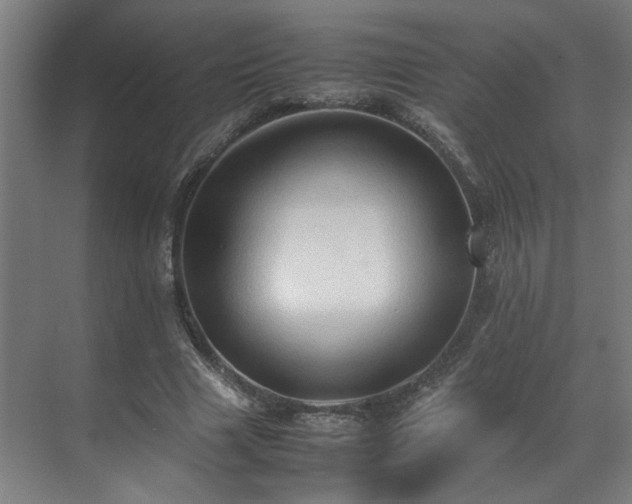 X0000070870633200606191343