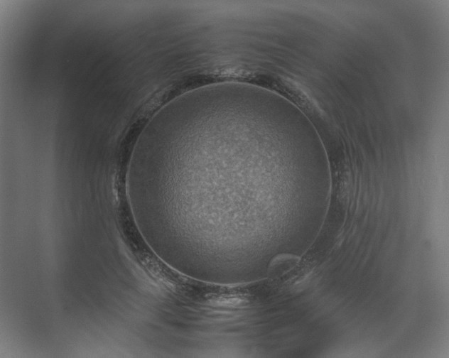X0000070870643200606191343
