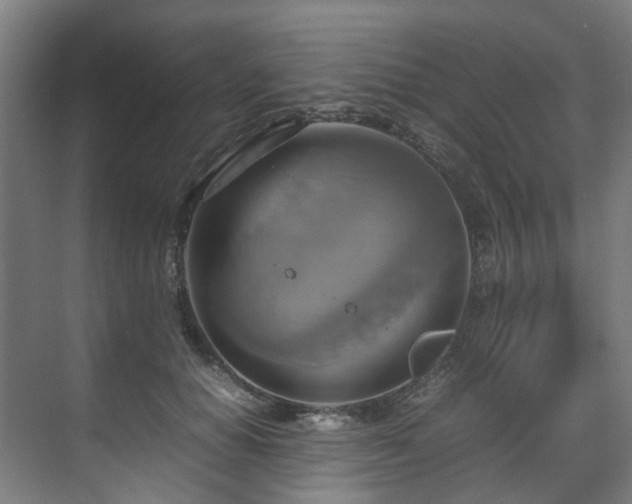 X0000070870654200606191343