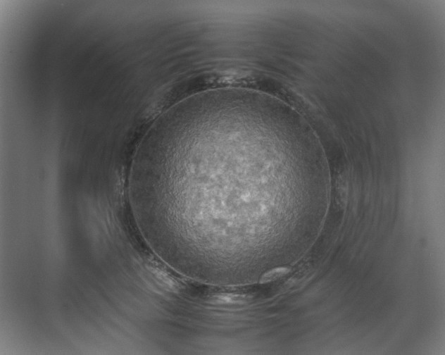 X0000070870657200606191343