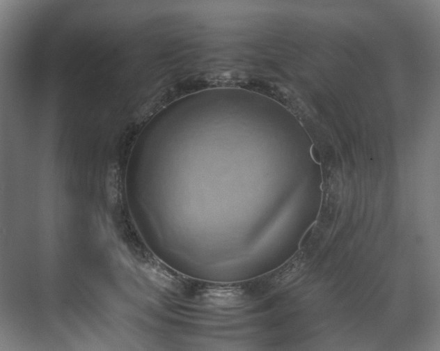 X0000070870659200606191343