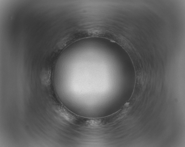 X0000070870660200606191343