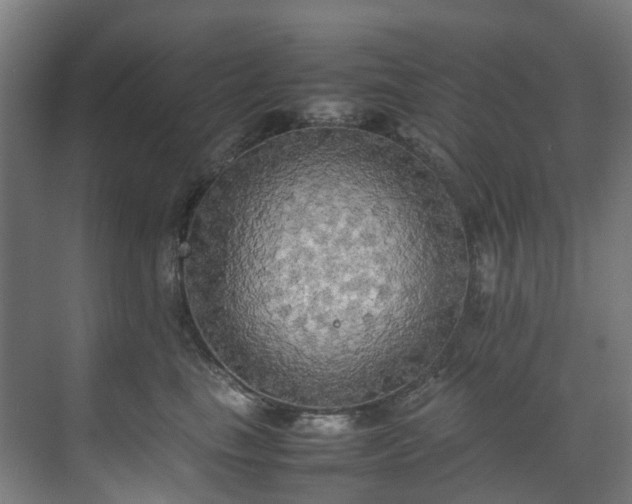 X0000070870665200606191344