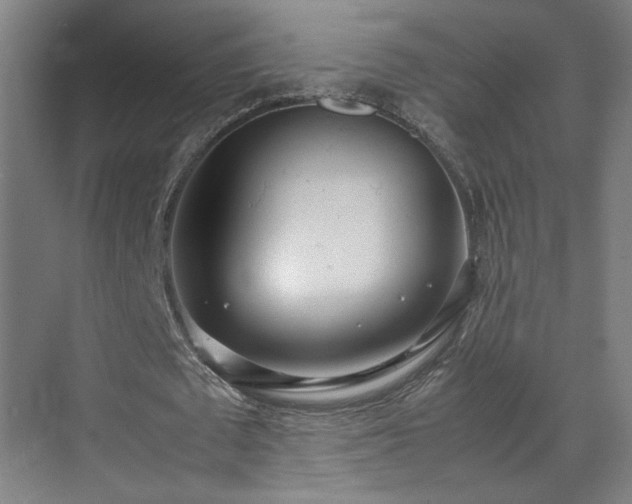 X0000070870673200606191343