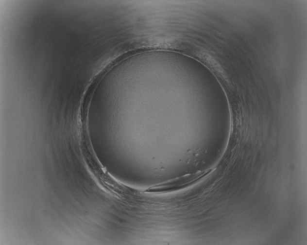 X0000070870674200606191343