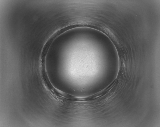 X0000070870676200606191343