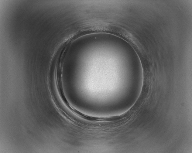 X0000070870677200606191343