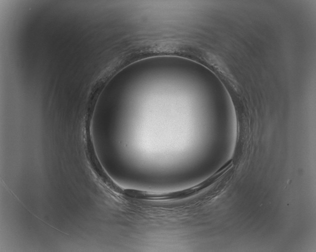 X0000070870681200606191343