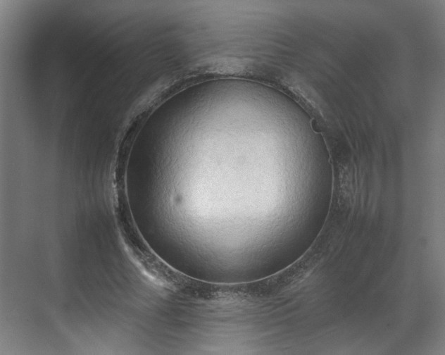 X0000070870682200606191343